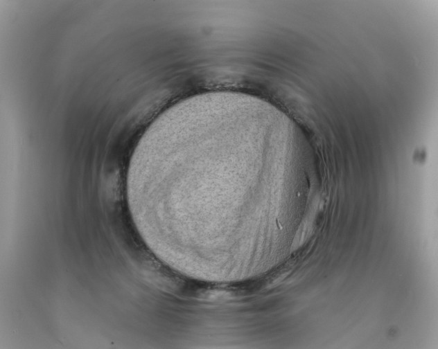 X0000091560224200709141542