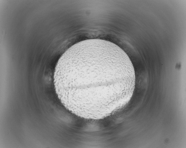 X0000091560226200709141542