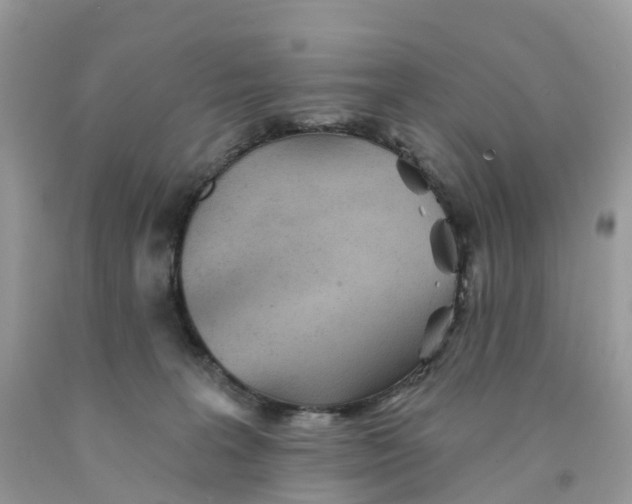 X0000091560227200709141542