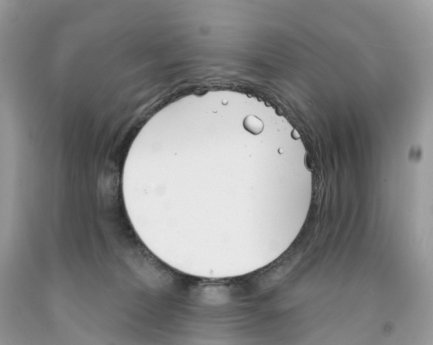 X0000091560228200709141542