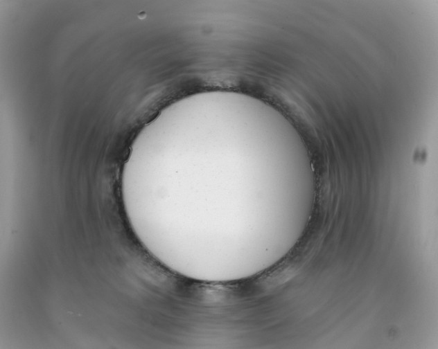 X0000091560229200709141542