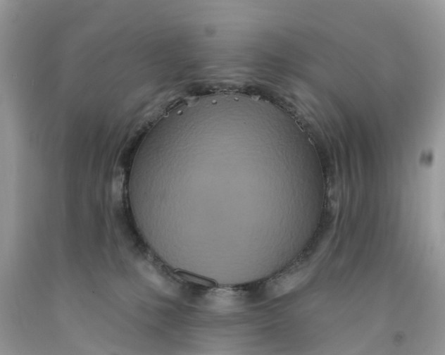 X0000091560231200709141542