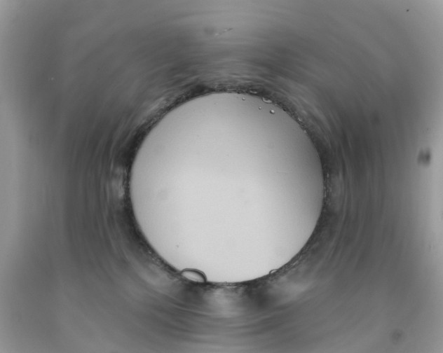 X0000091560232200709141542