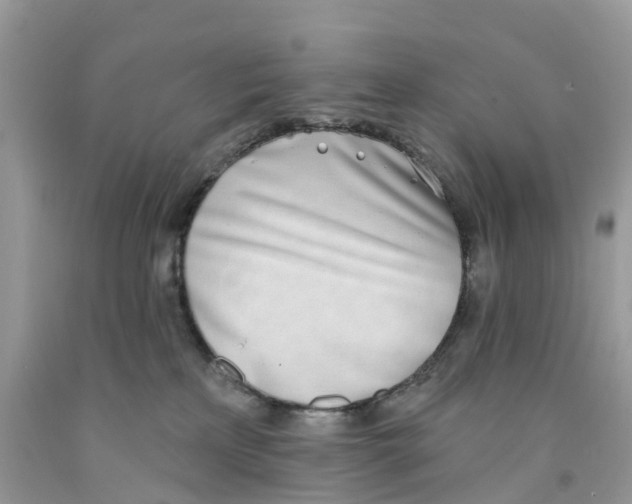 X0000091560233200709141542