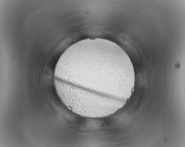 X0000091560234200709141542