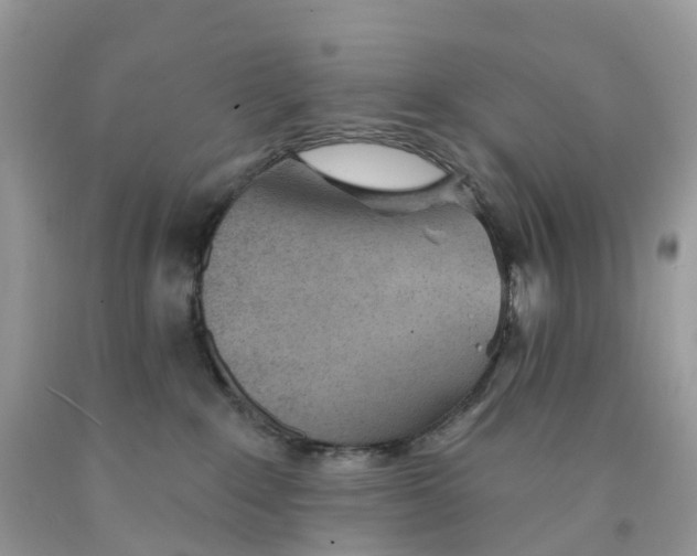 X0000091560235200709141542