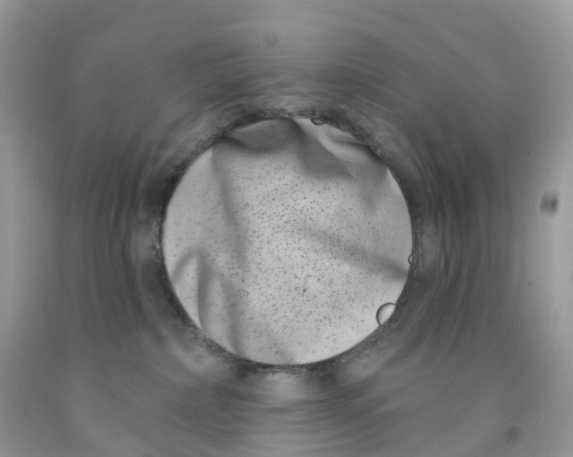 X0000091560236200709141542