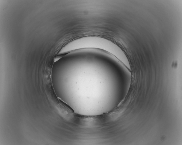 X0000091560237200709141542