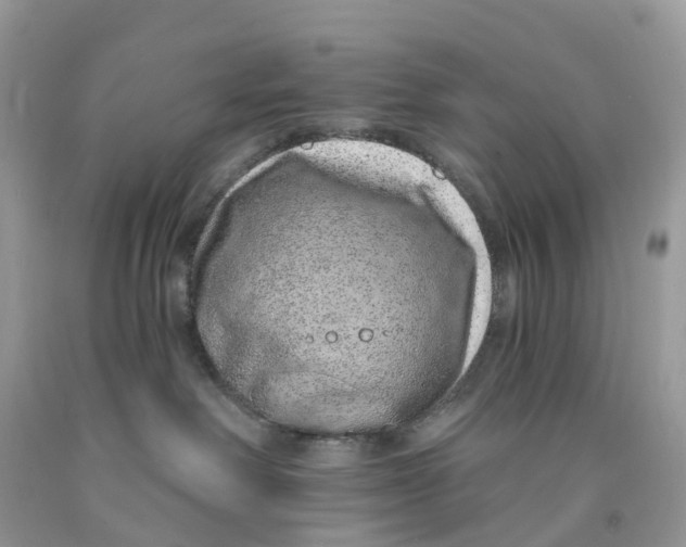 X0000091560238200709141542