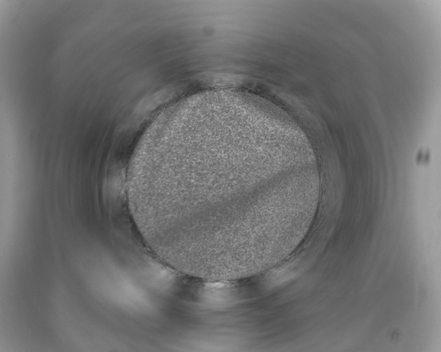 X0000091560240200709141542