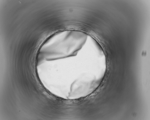 X0000091560241200709141541