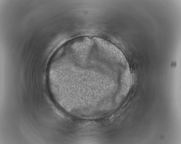 X0000091560243200709141541