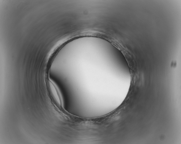 X0000091560244200709141541