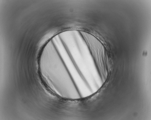 X0000091560245200709141541