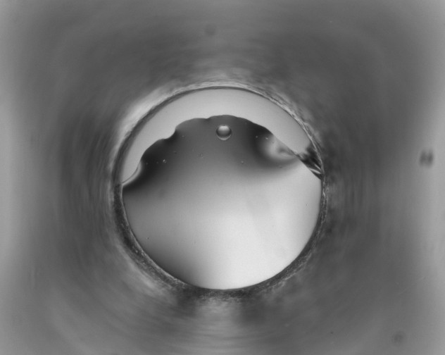 X0000091560248200709141542