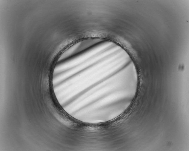 X0000091560250200709141542