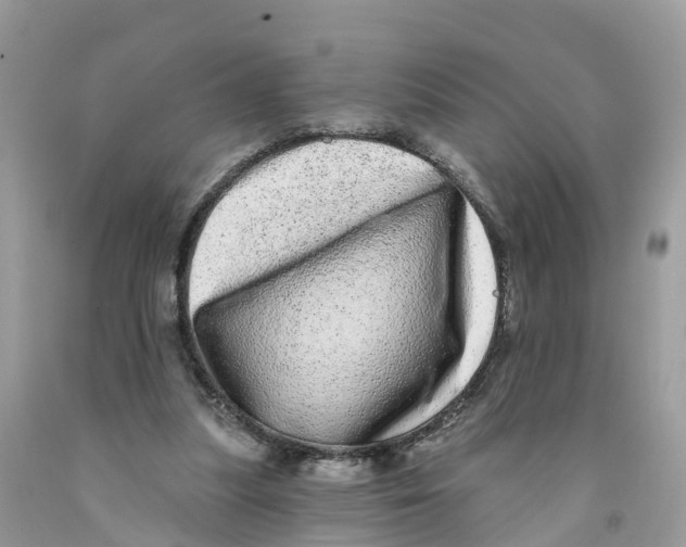 X0000091560251200709141542