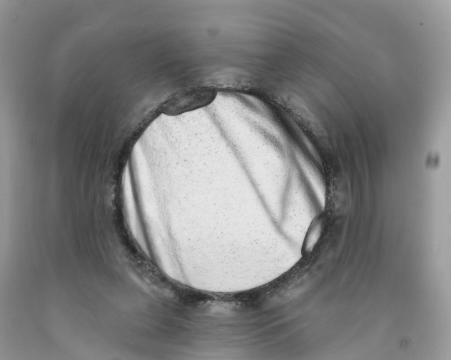 X0000091560255200709141542