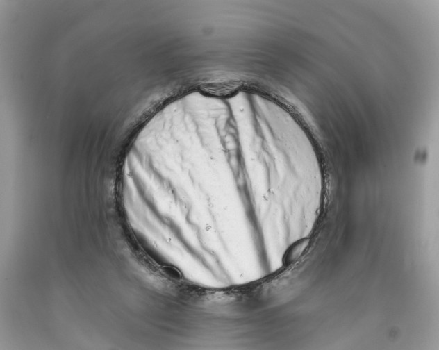 X0000091560257200709141542