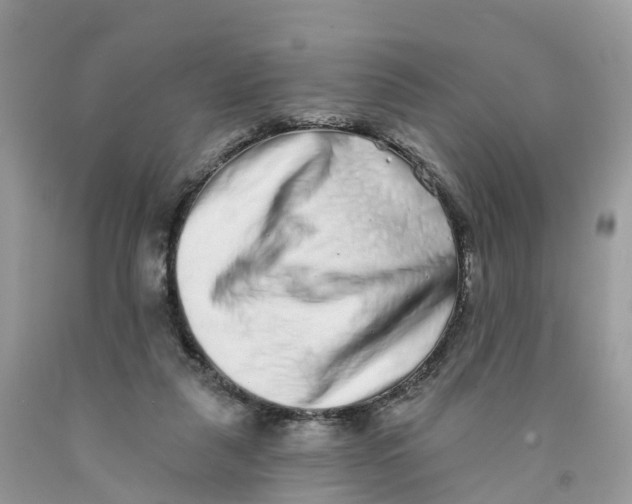 X0000091560259200709141542