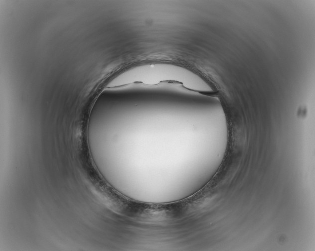 X0000091560260200709141542