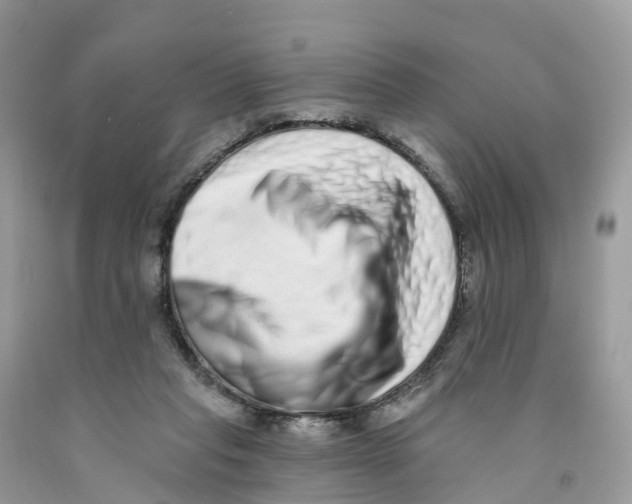 X0000091560261200709141542