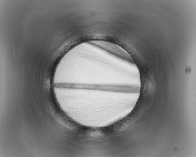 X0000091560262200709141542