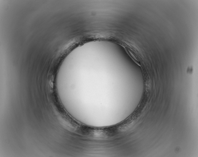 X0000091560264200709141542