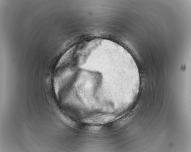 X0000091560265200709141542