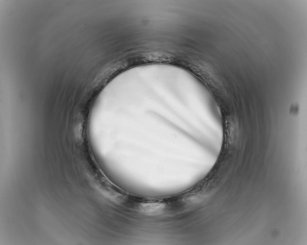 X0000091560266200709141542