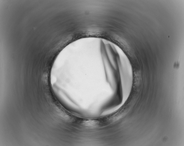 X0000091560269200709141542