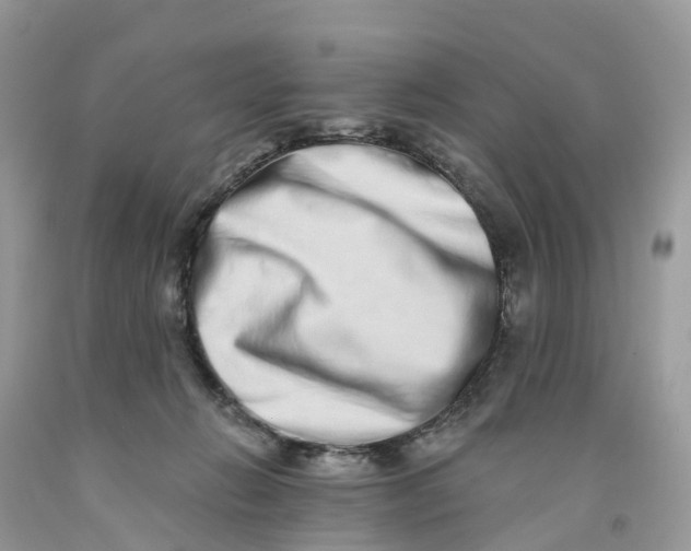 X0000091560270200709141542