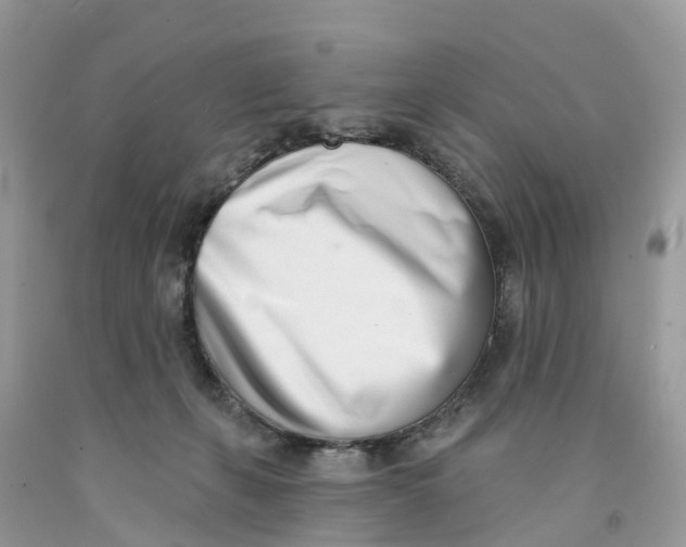 X0000091560271200709141542