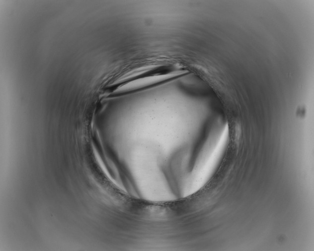 X0000091560272200709141542