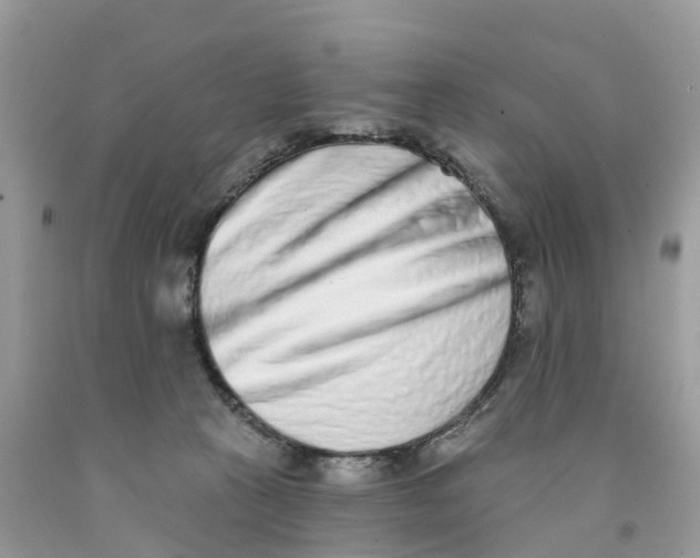 X0000091560273200709141542