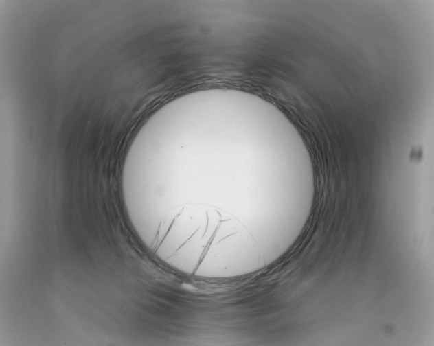 X0000091560276200709141542