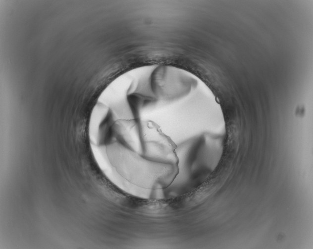 X0000091560278200709141542