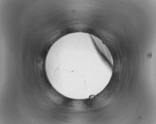 X0000091560279200709141542