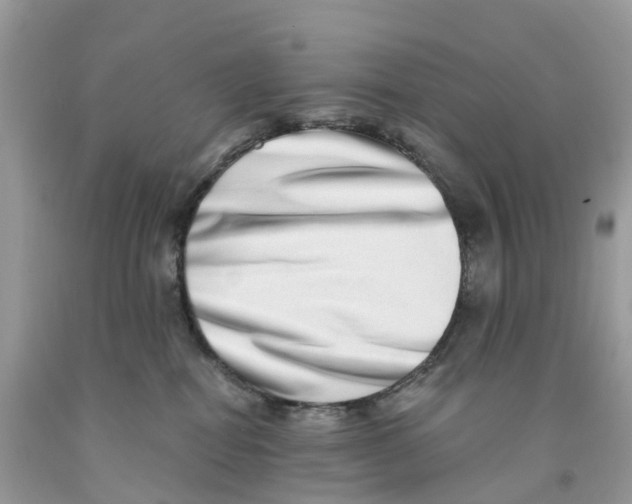 X0000091560282200709141542