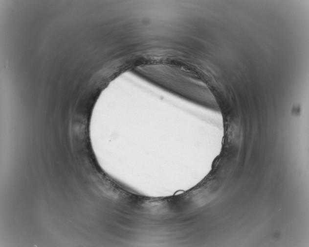 X0000091560283200709141542