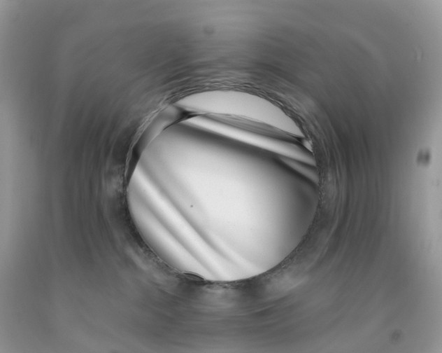 X0000091560284200709141542