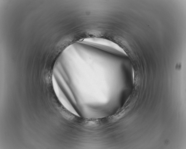 X0000091560285200709141542