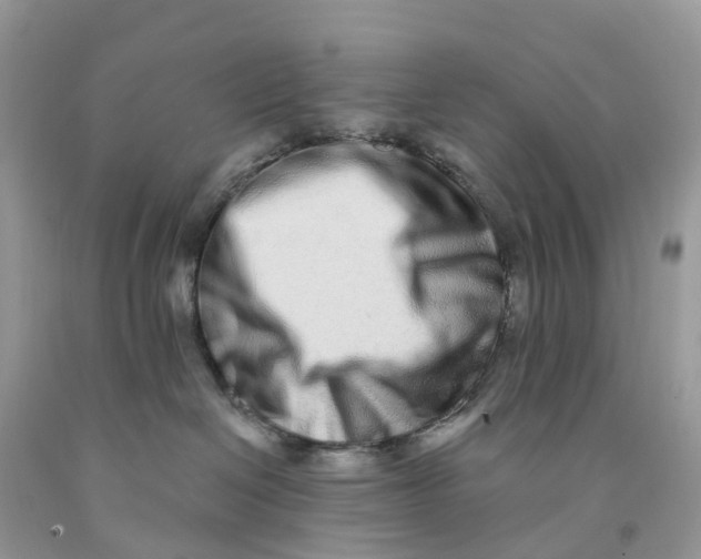 X0000091560286200709141542