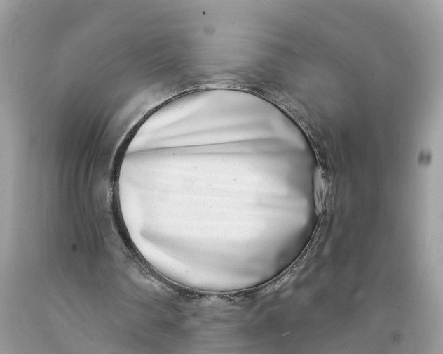 X0000091560290200709141541