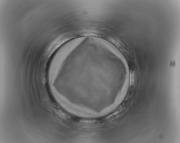 X0000091560291200709141541