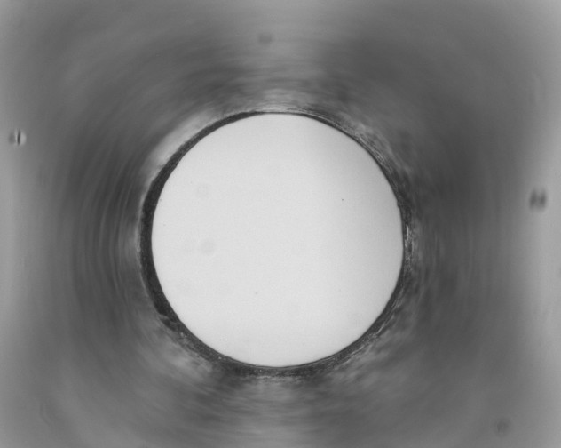 X0000091560292200709141541