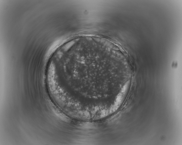 X0000091560293200709141541