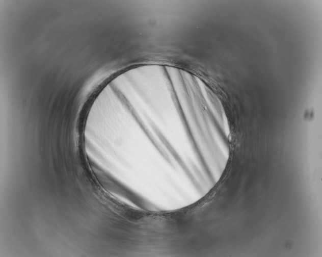 X0000091560294200709141541