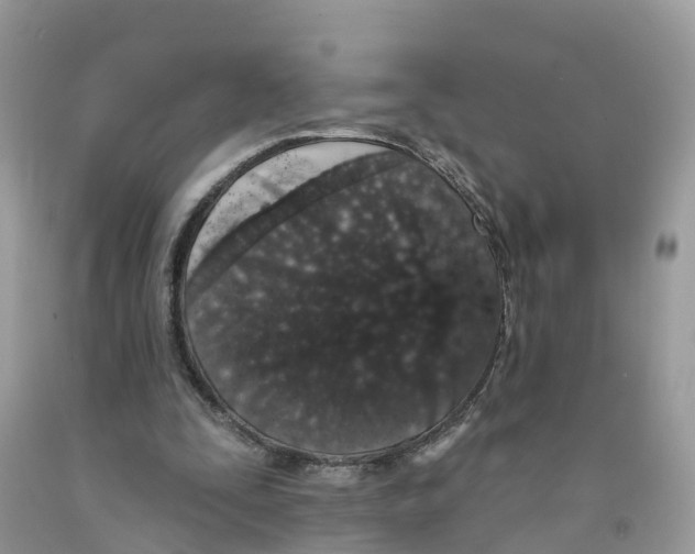 X0000091560295200709141541