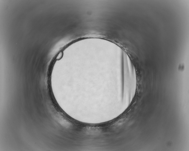 X0000091560296200709141541